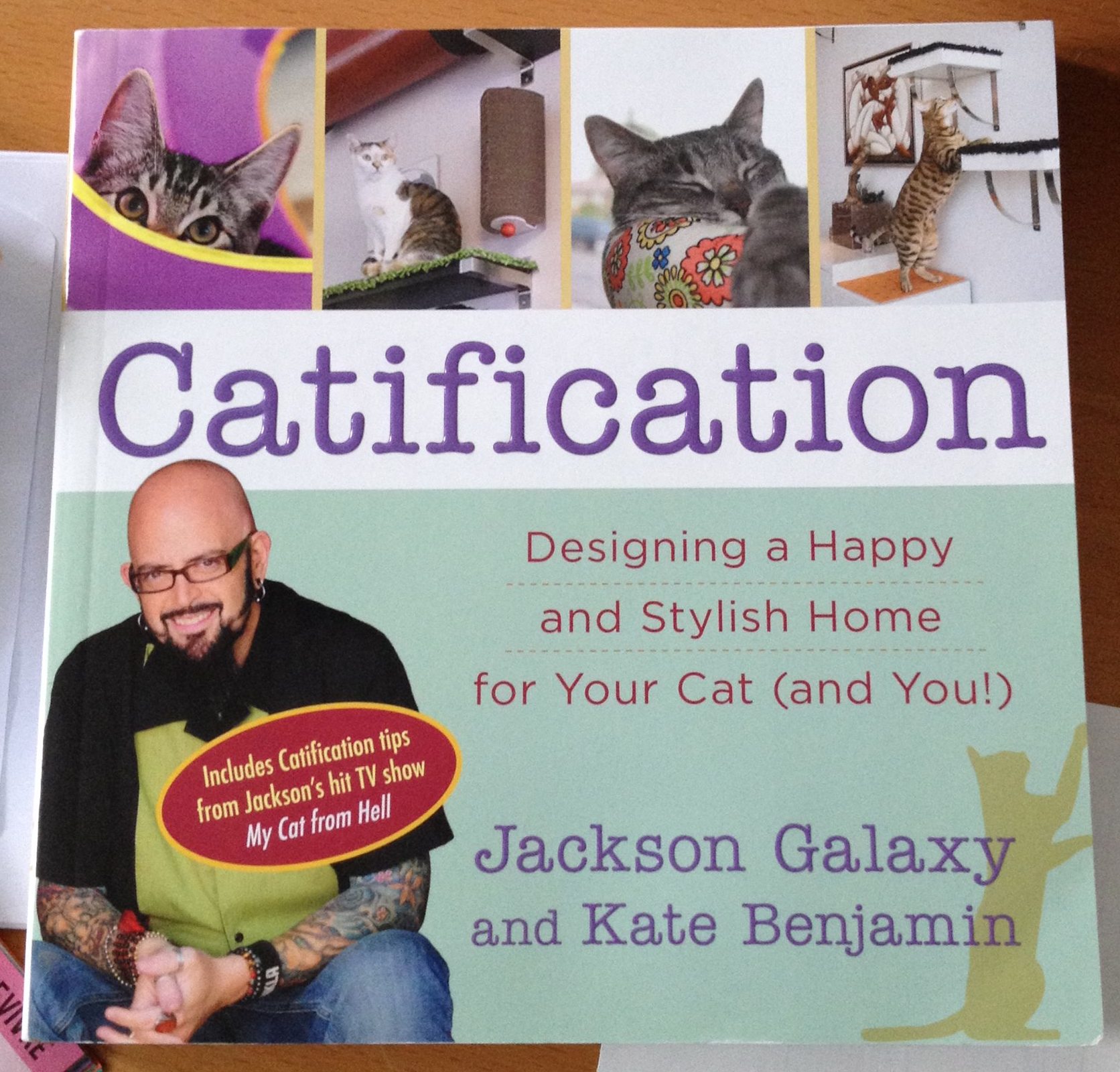 cover Catification by Jackson Galaxy