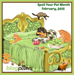 spoil your pet month