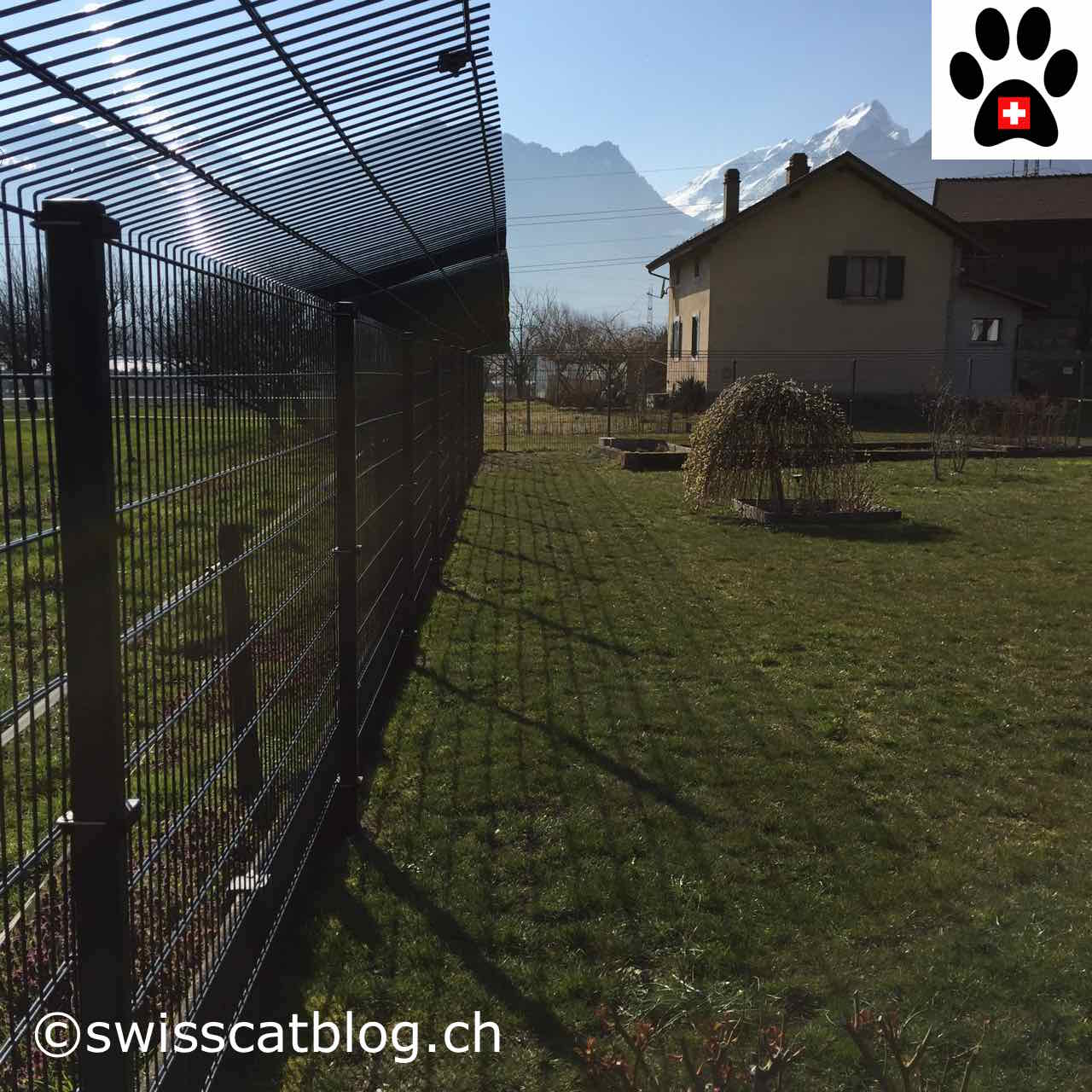 Comment Cloturer Mon Jardin Pour Que Mes Chats Puissent Aller Dehors En Toute Securite The Swiss Cats