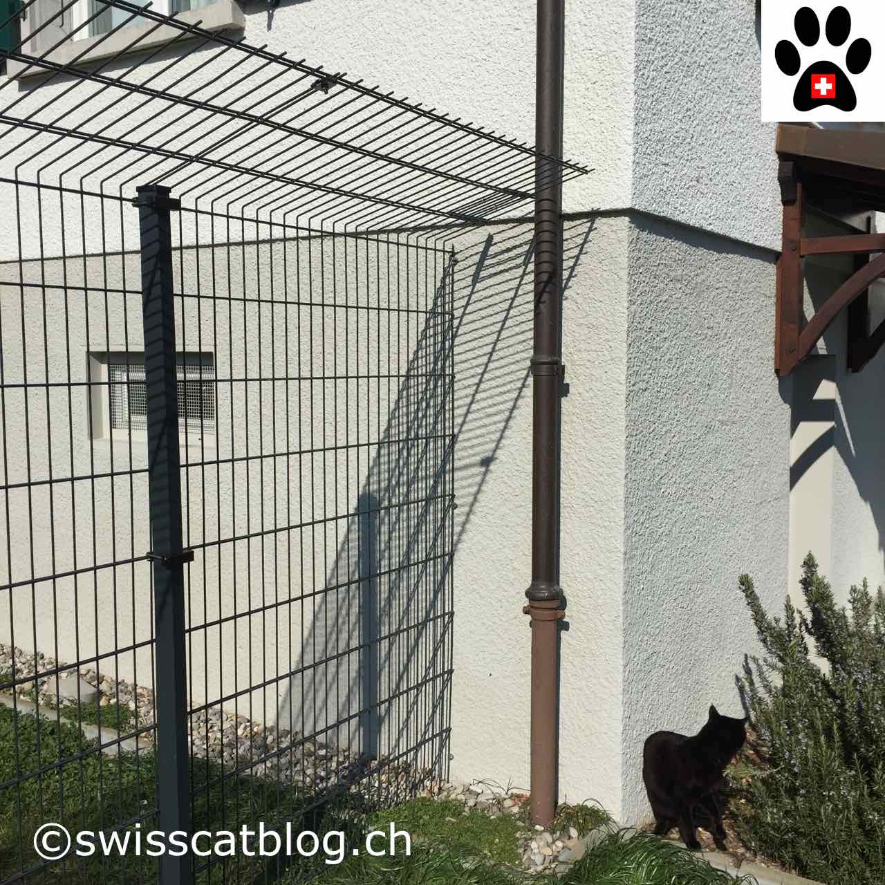 Comment Cloturer Mon Jardin Pour Que Mes Chats Puissent Aller Dehors En Toute Securite The Swiss Cats