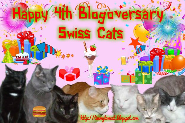 Swiss Cats 4th BlogoV