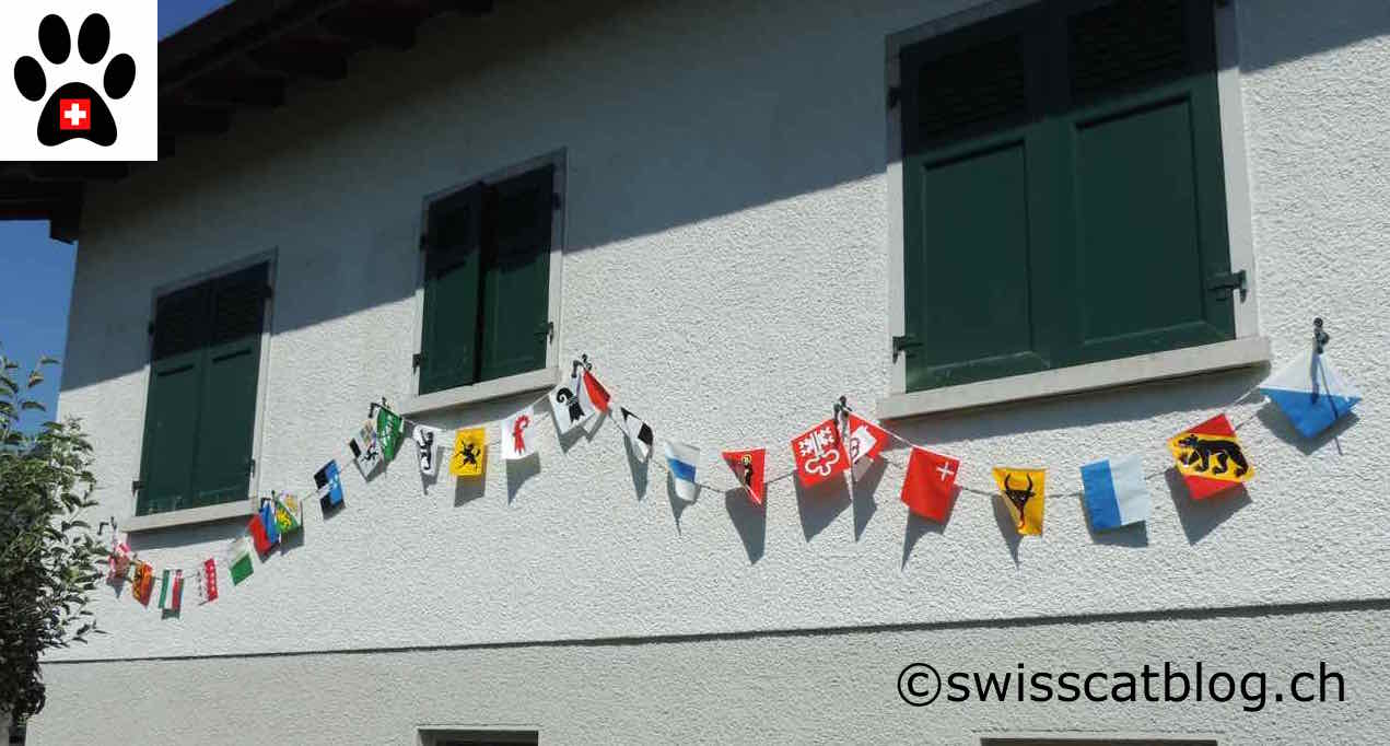Joyeux 725eme Anniversaire La Suisse The Swiss Cats