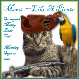 Meow Like A Pirate Day 2016