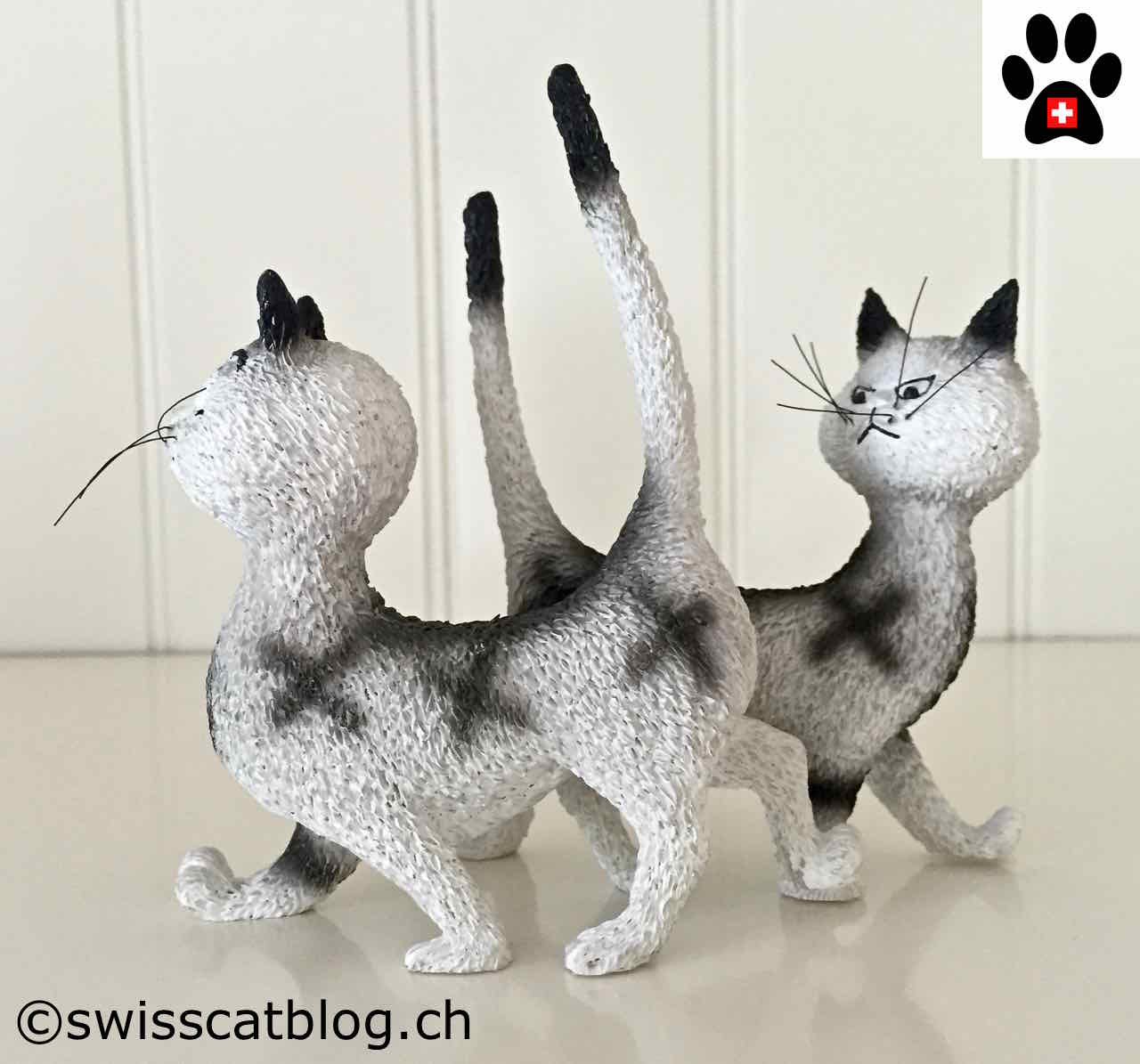 Joyeux Anniversaire Claire The Swiss Cats