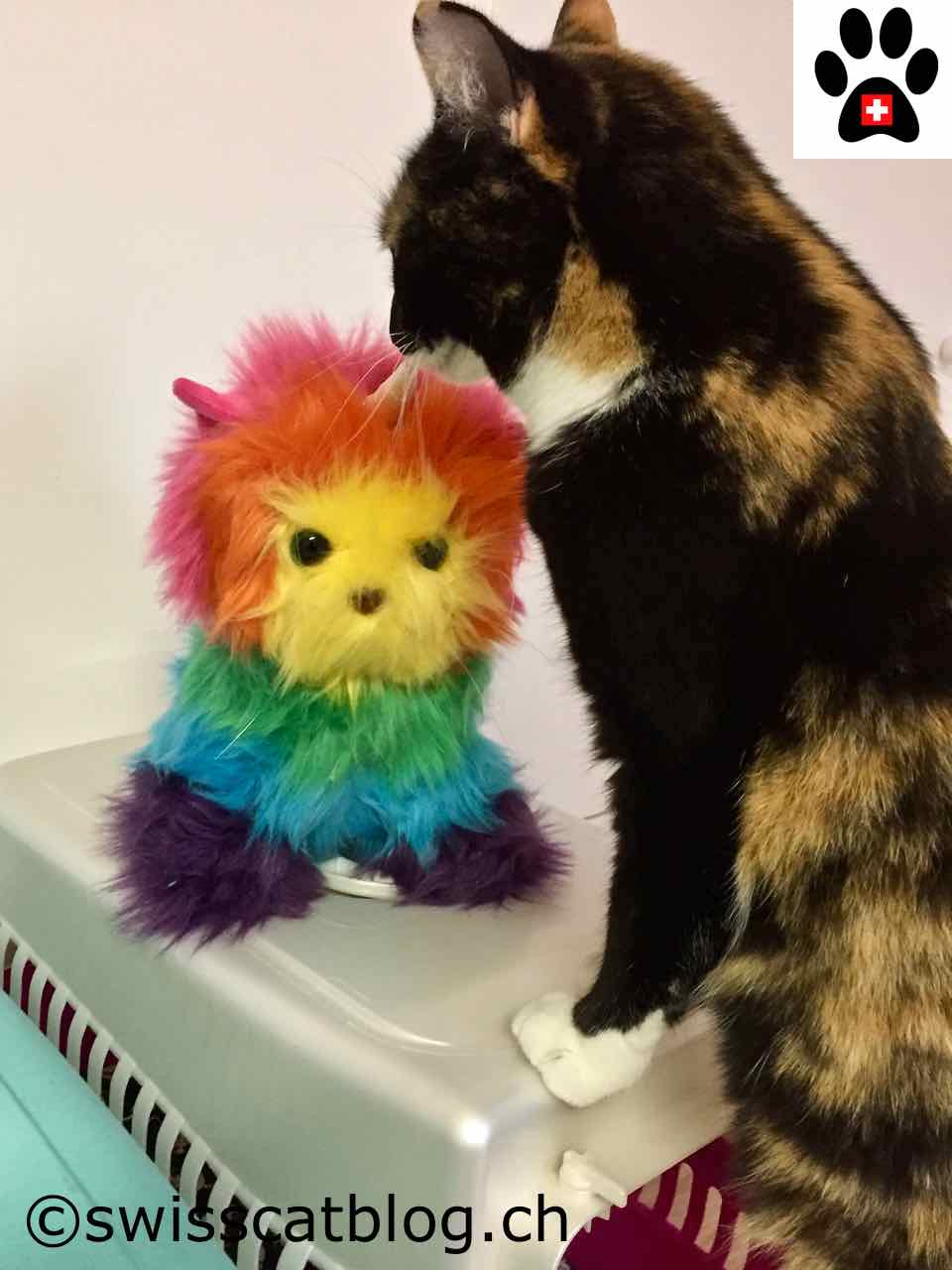 Because sometimes, you need a rainbow butterfly unicorn kitten | The Swiss Cats