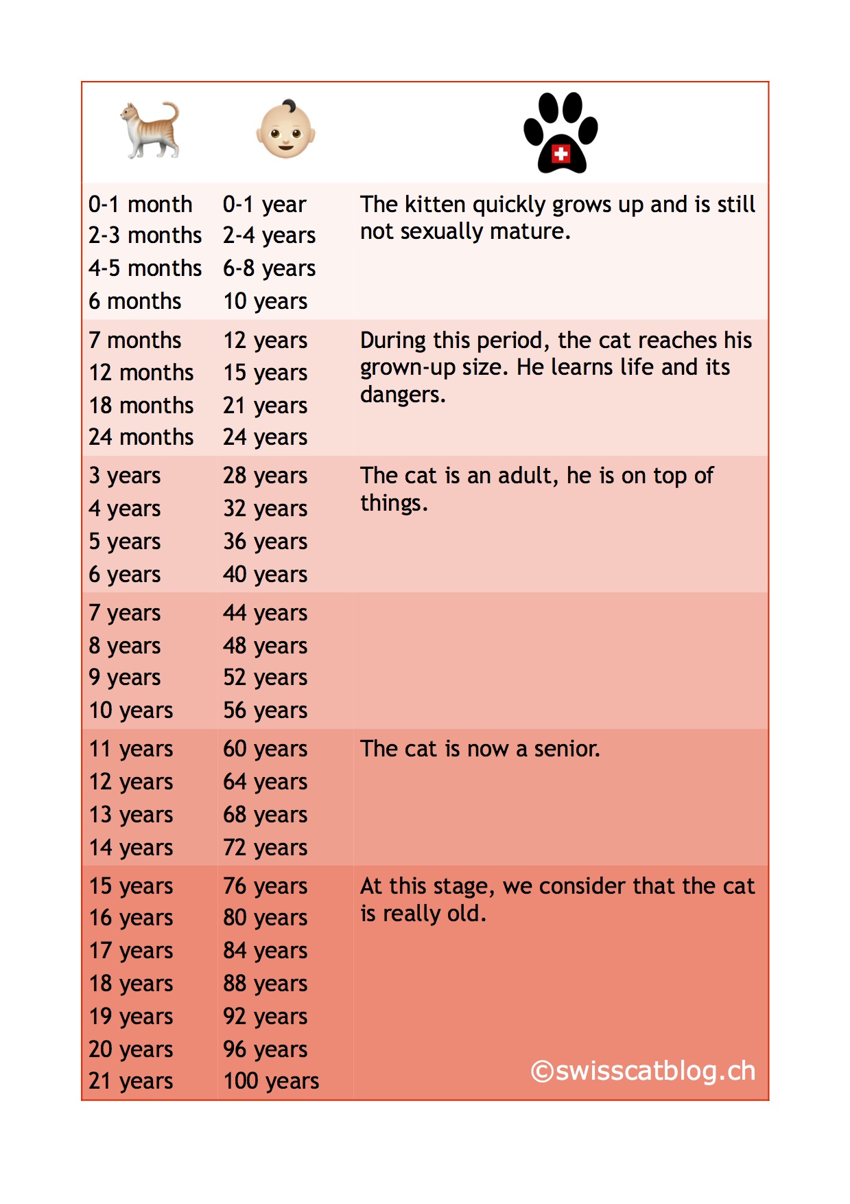 how old is 3 in cat years